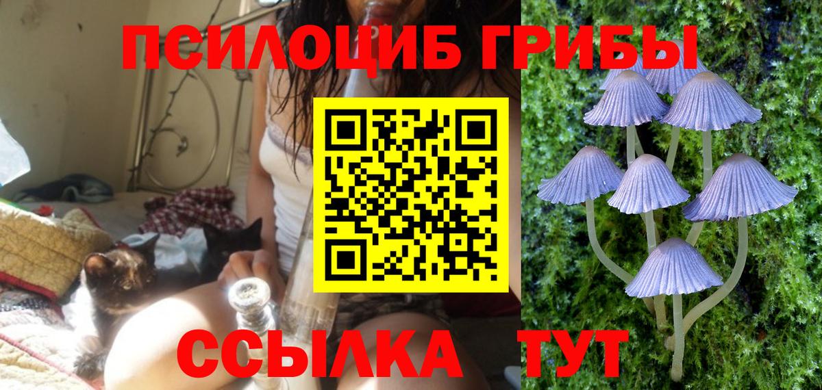 Псилоцибиновые грибы прущие грибы Уварово