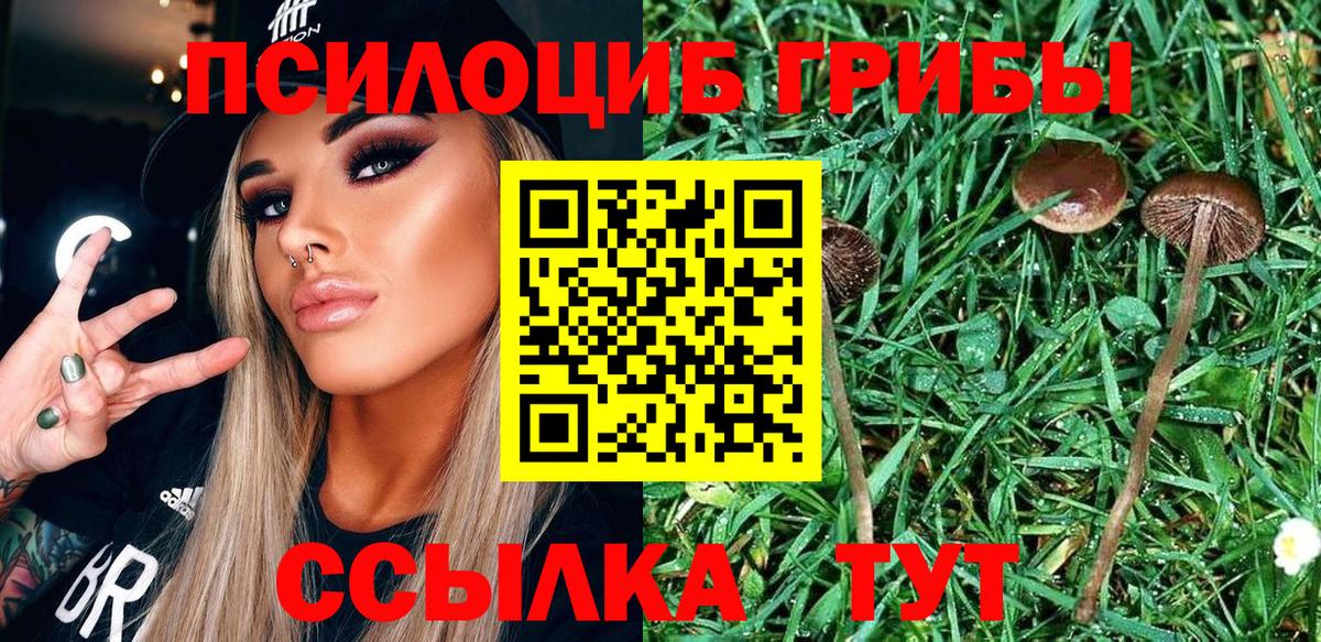 Уварово  Галлюциногенные грибы MAGIC MUSHROOMS  Галлюциногенные грибы ЛСД  Вход с VPN 